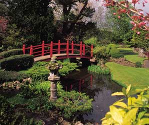 Red Bridge Japanese Garden